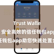 Trust Wallet安装教程 安全高效的信任钱包app助您快速处置金钱