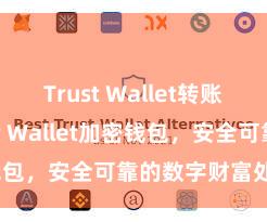 Trust Wallet转账失败 Trust Wallet加密钱包，安全可靠的数字财富处理器用